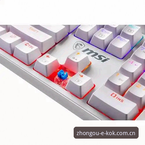 KOK中欧体育最新地址深度评测：v2.2.0版本功能与用户体验全面解析